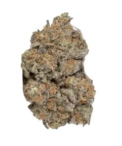 THCP Lava Cake